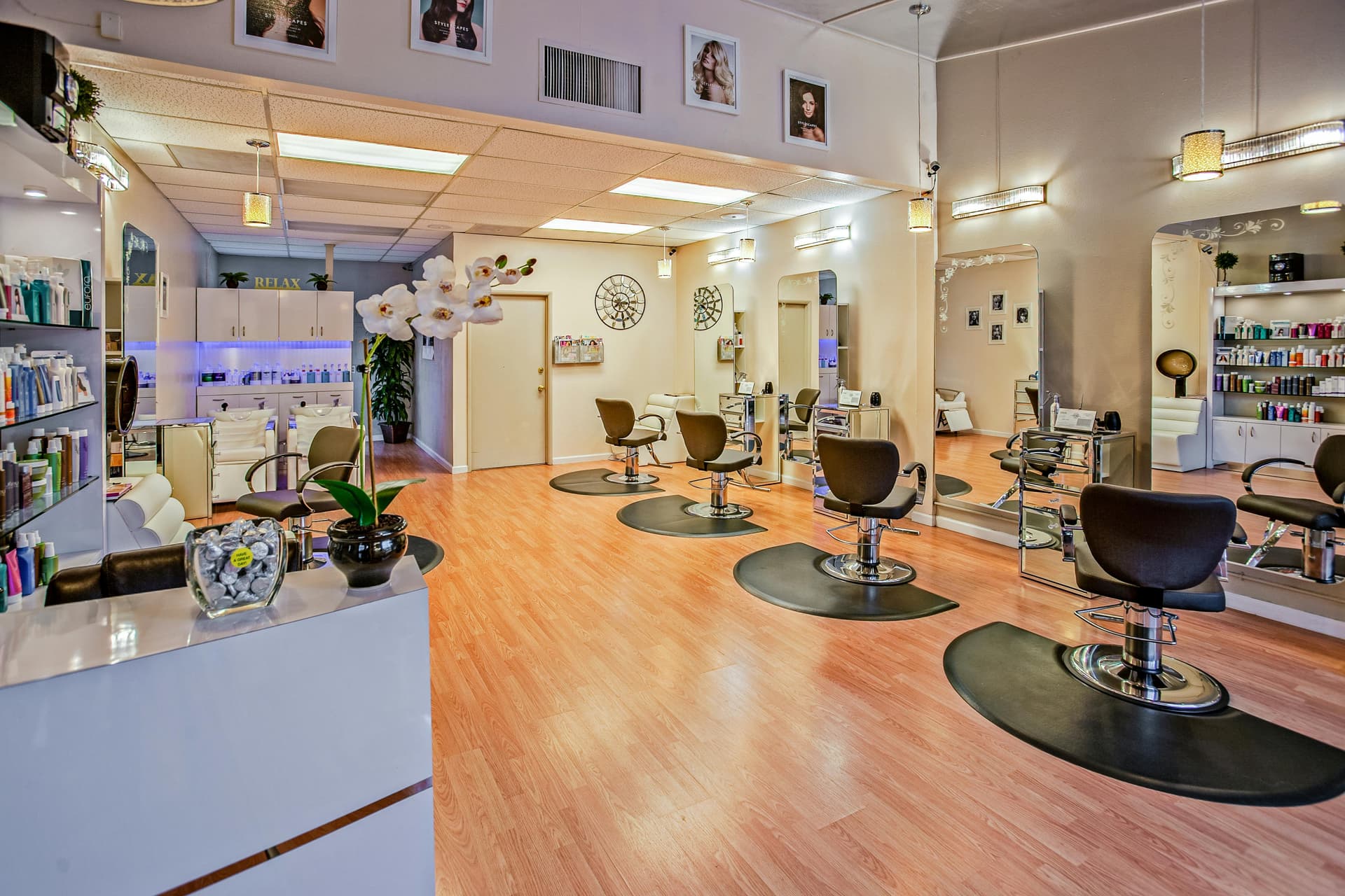The Studio